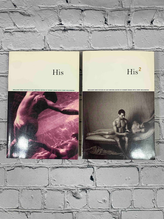 His 1 & His 2: Brilliant New Fiction by Gay Writers