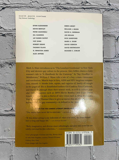His 1 & His 2: Brilliant New Fiction by Gay Writers