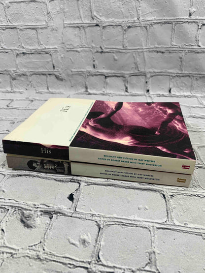 His 1 & His 2: Brilliant New Fiction by Gay Writers