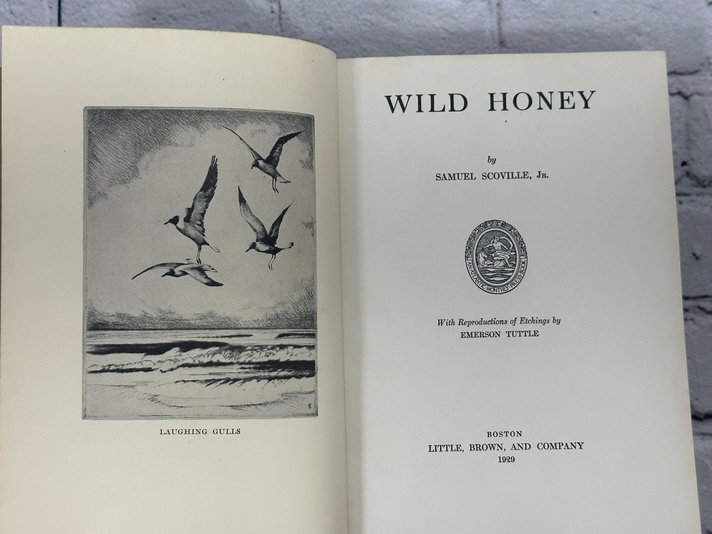 Wild honey by Samuel Scoville Jr. etchings by Emerson Tuttle [1st Ed. · 1929