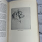 Wild honey by Samuel Scoville Jr. etchings by Emerson Tuttle [1st Ed. · 1929