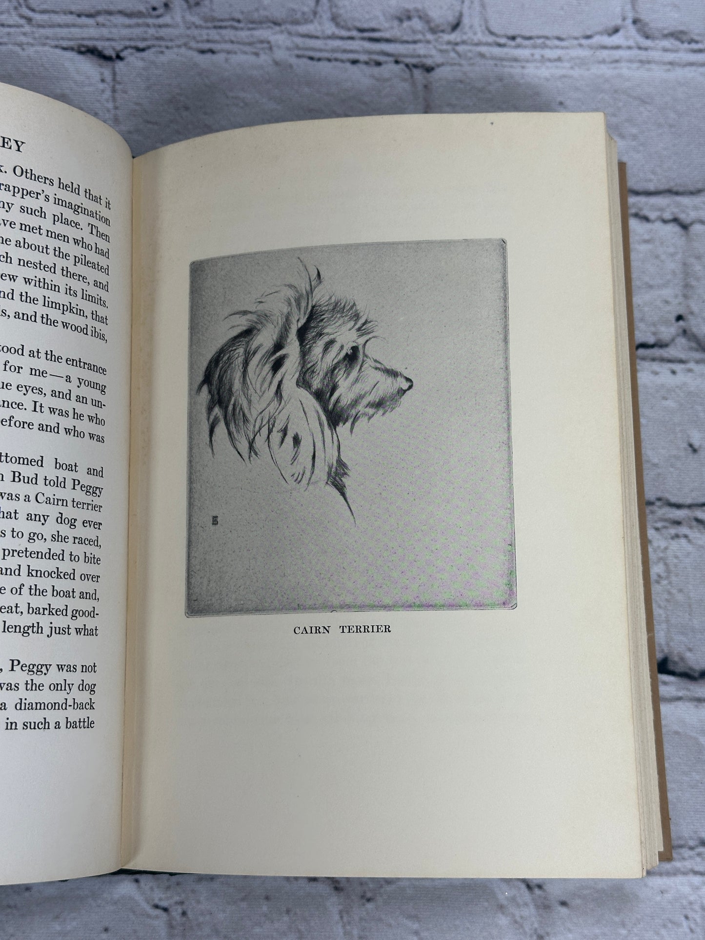 Wild honey by Samuel Scoville Jr. etchings by Emerson Tuttle [1st Ed. · 1929