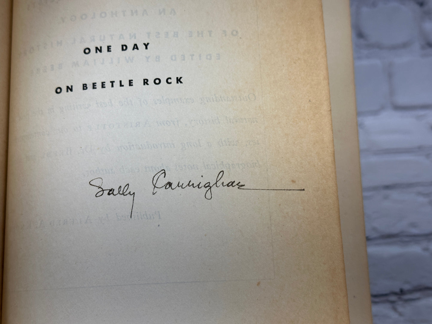 One Day on Beetle Rock by Sally Carrighar (Signed · 1945 · 4th Printing)