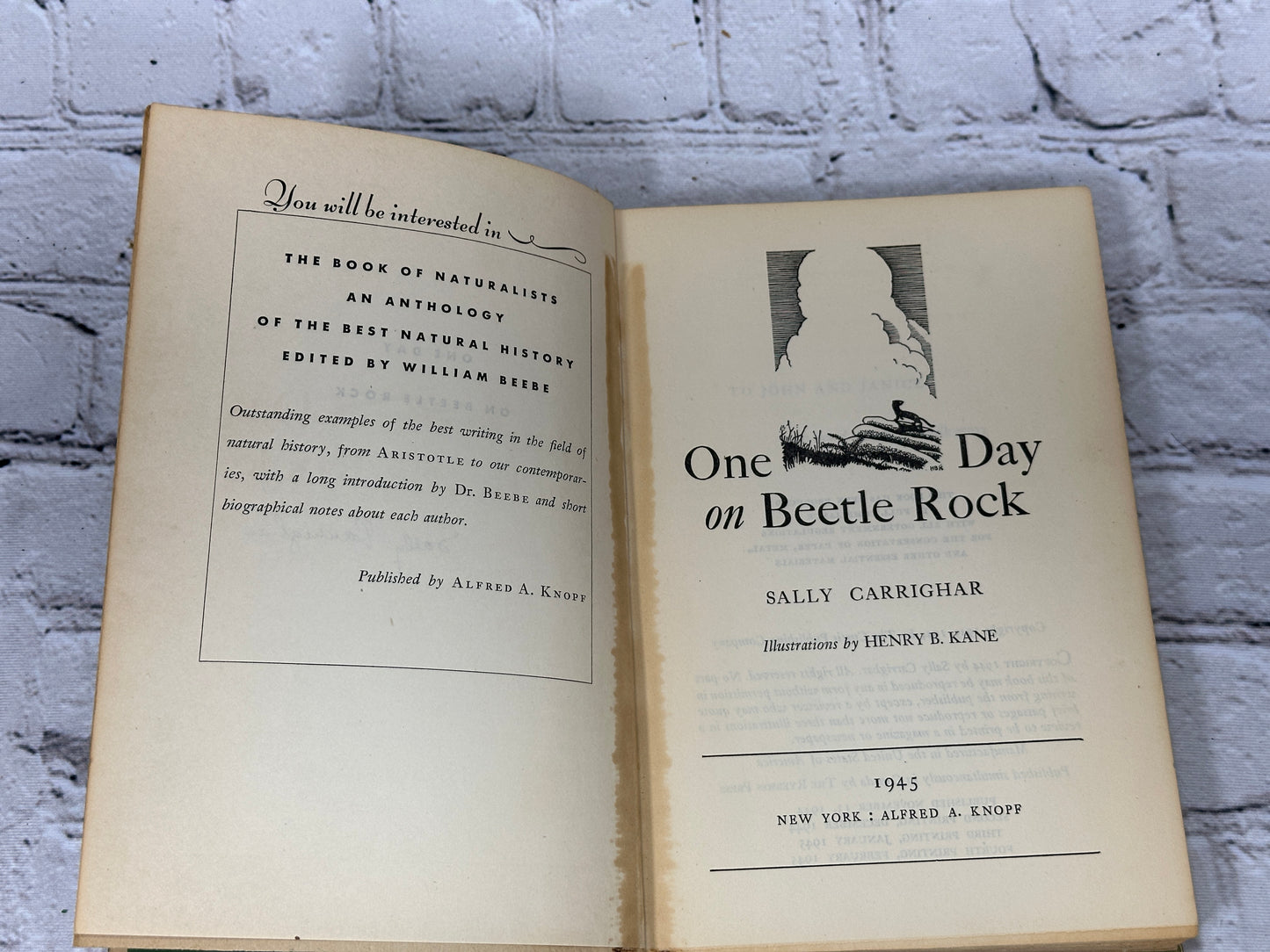 One Day on Beetle Rock by Sally Carrighar (Signed · 1945 · 4th Printing)