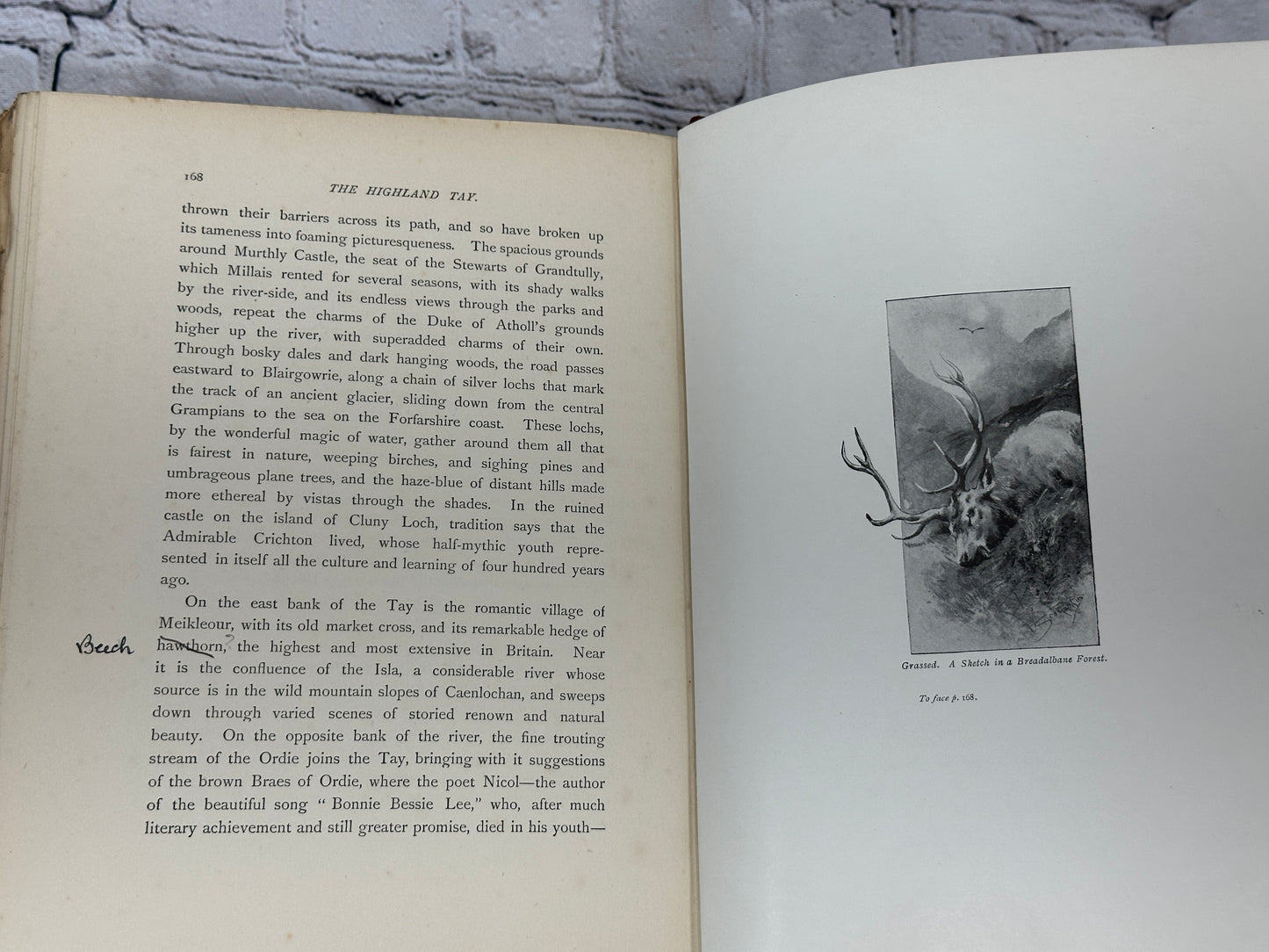 The Highland Tay: From its Source to Dunkeld by Hugh Macmillan [Scotland · 1901]