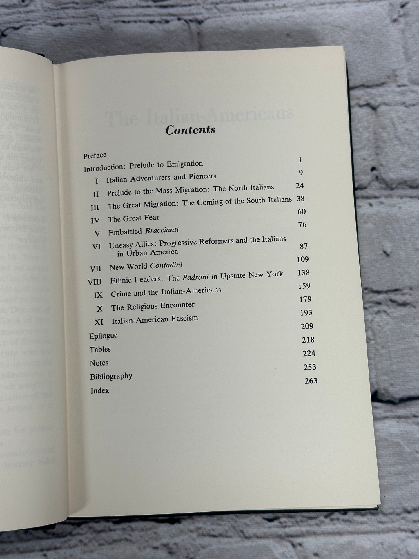 The Italian-Americans by Luciano Iorizzo and Salvatore Mondello [1971]