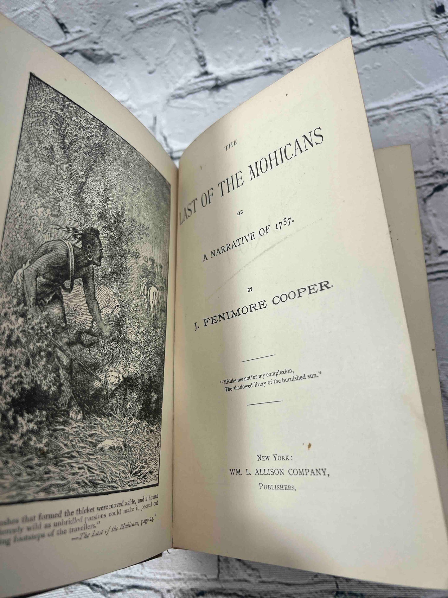 The Last of the Mohicans