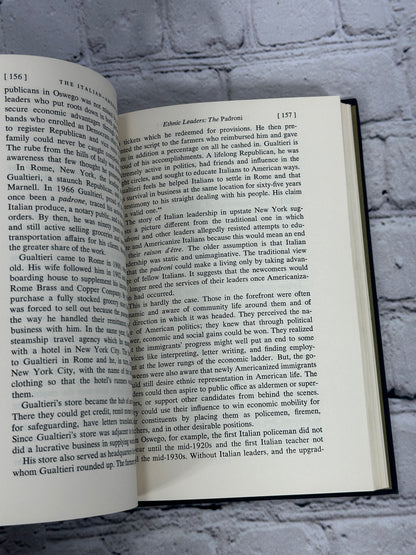 The Italian-Americans by Luciano Iorizzo and Salvatore Mondello [1971]