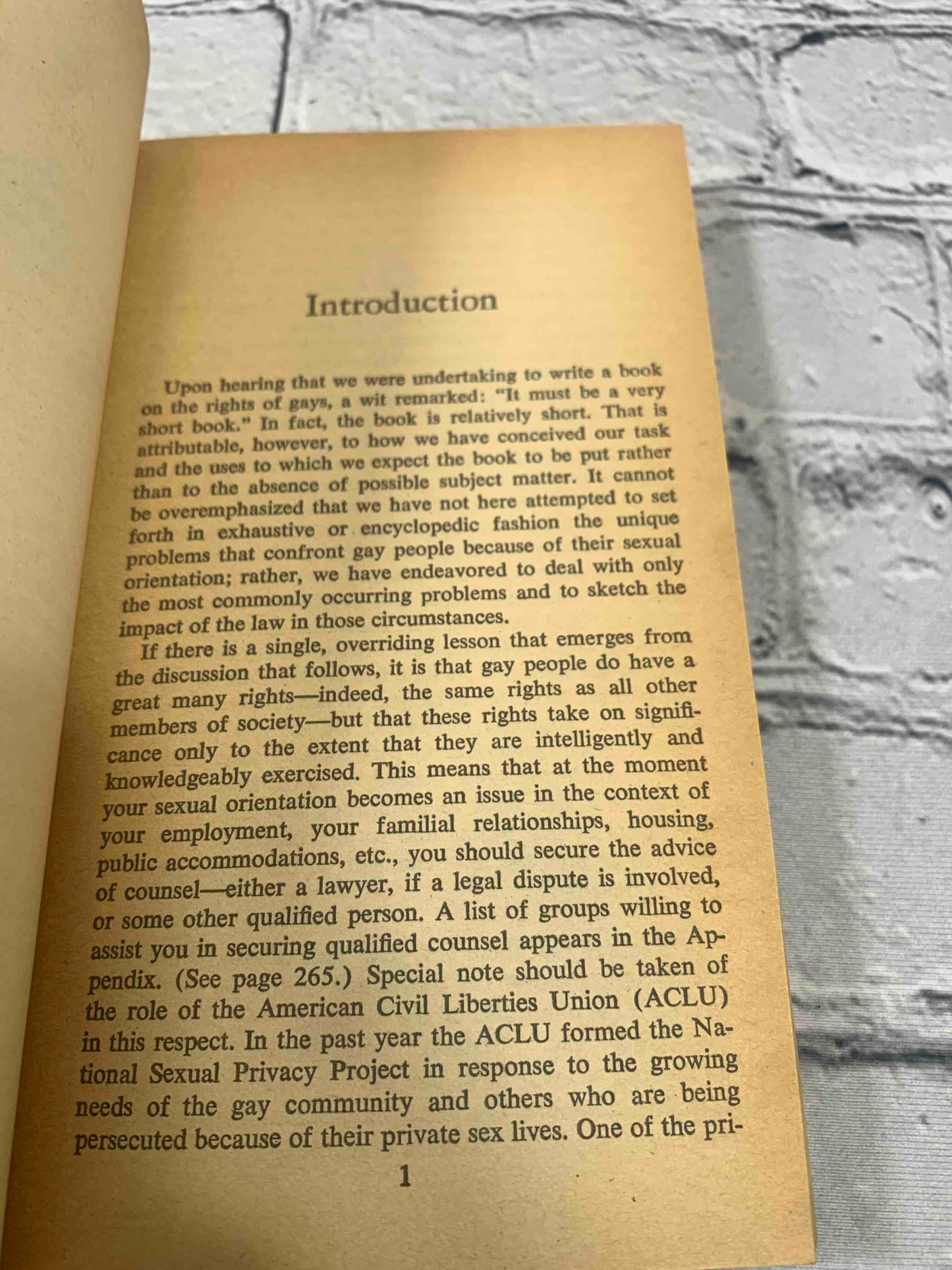The Rights of Gay People: The Basic ACLU Guide to a Gay Person's Rights (An American Civil Liberties Union handbook)