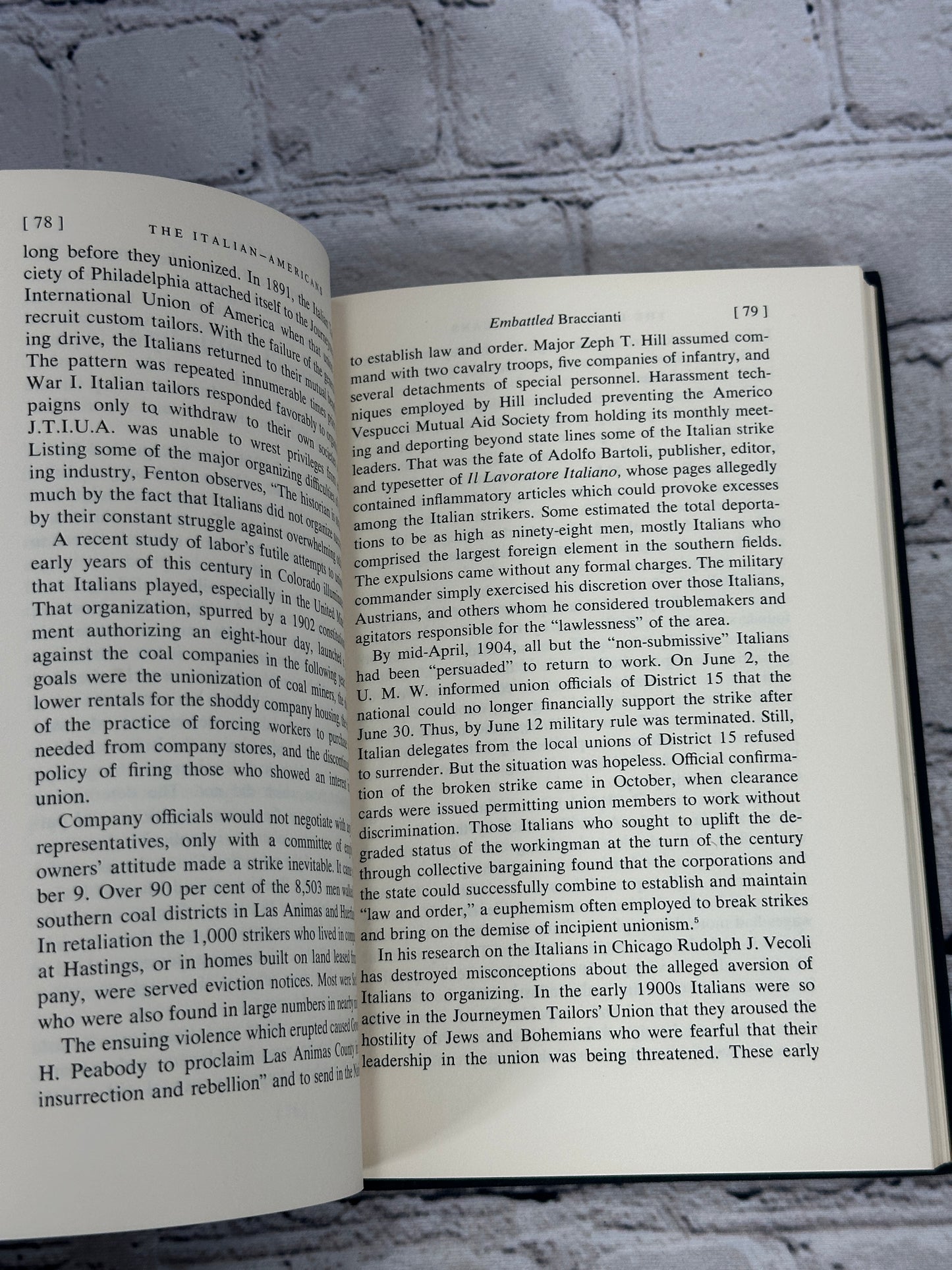 The Italian-Americans by Luciano Iorizzo and Salvatore Mondello [1971]