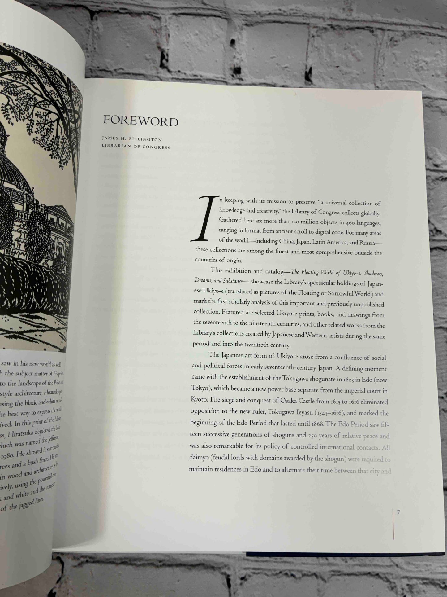 Floating World of Ukiyo-E: Shadows, Dreams and Substance