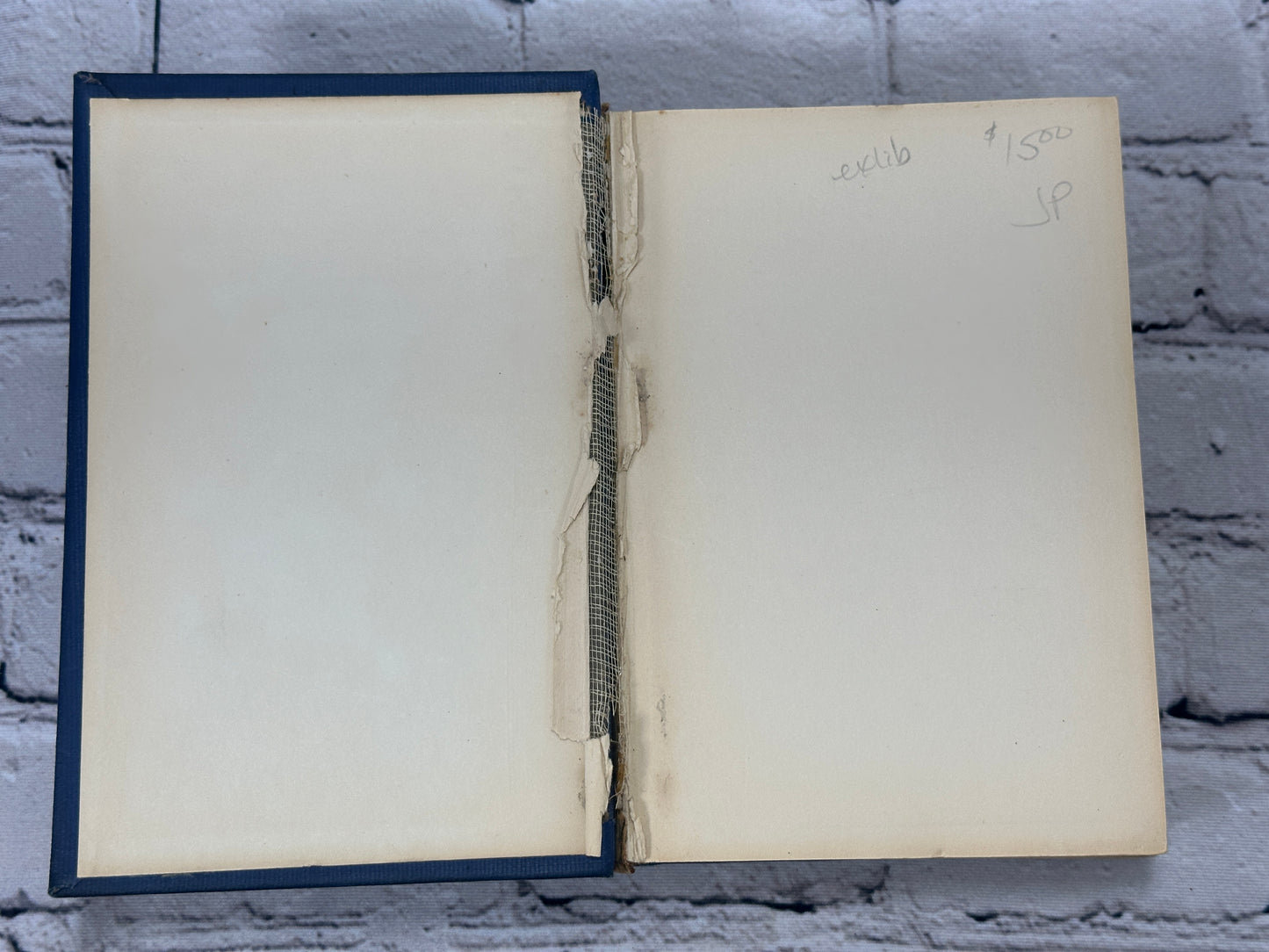 Schenectady Ancient and Modern 1661 - 1914 by Joel Henry Monroe [1st Ed. · 1914]