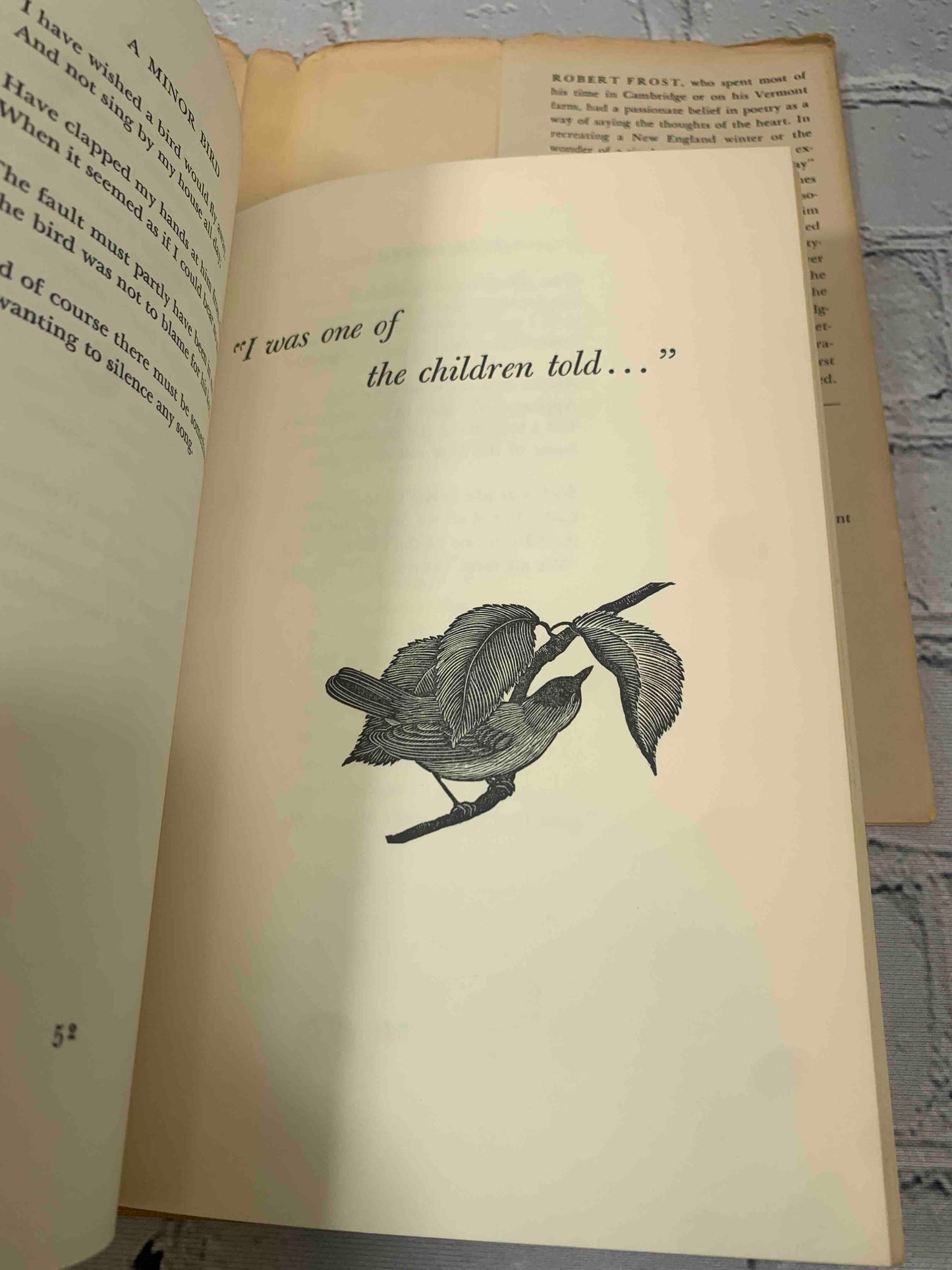 You Come Too Favorite Poems for Young Readers