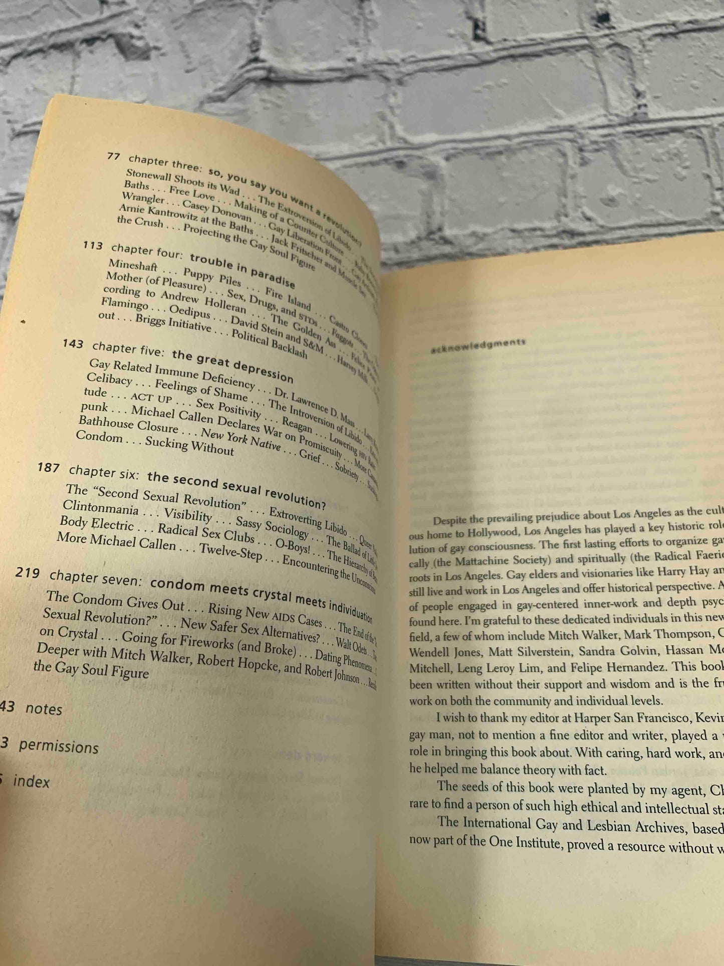 Sex Between Men: An Intimate History of the Sex Lives of Gay Men Postwar to Present