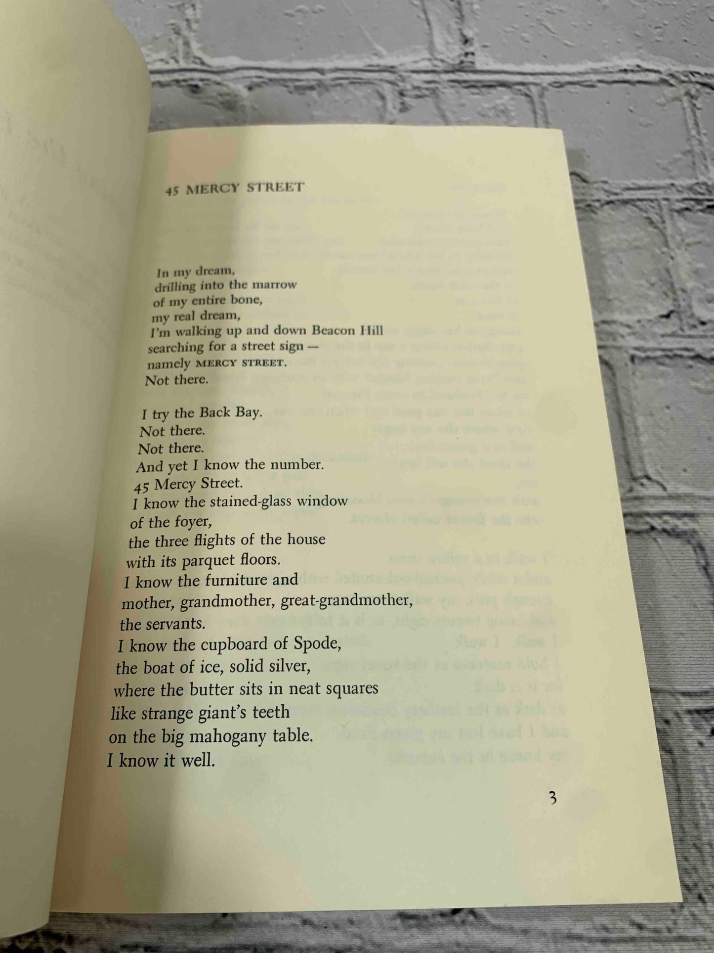 45 Mercy Street