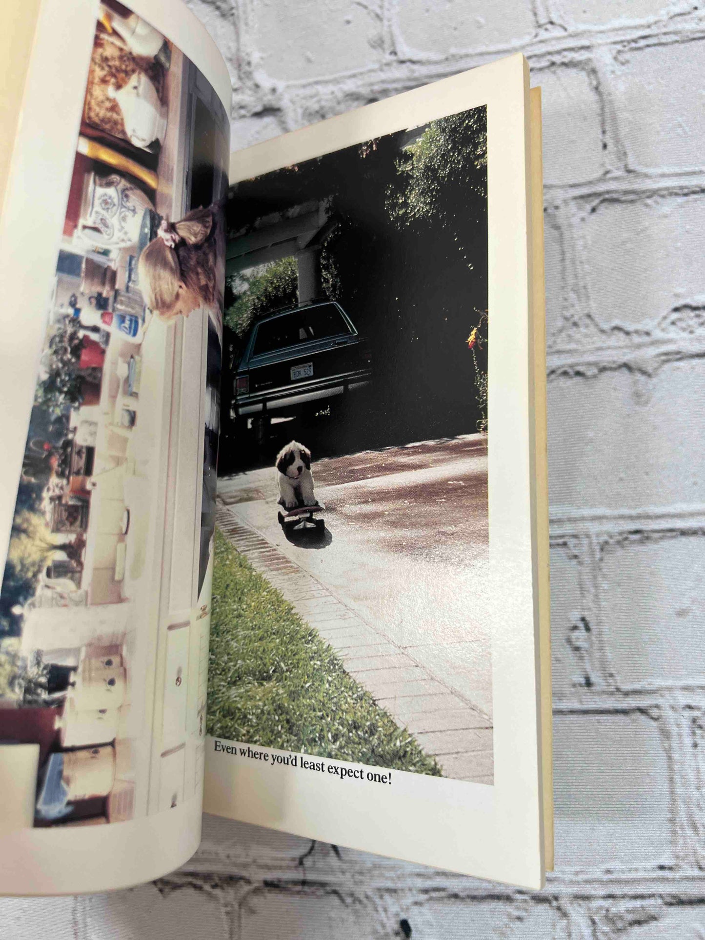 Beethoven's 2nd (Movie Tie In)