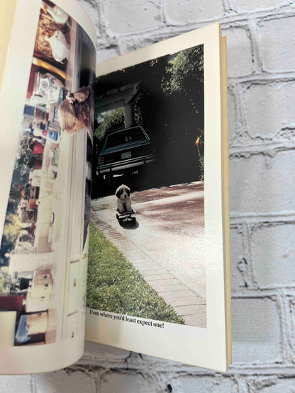 Beethoven's 2nd (Movie Tie In)