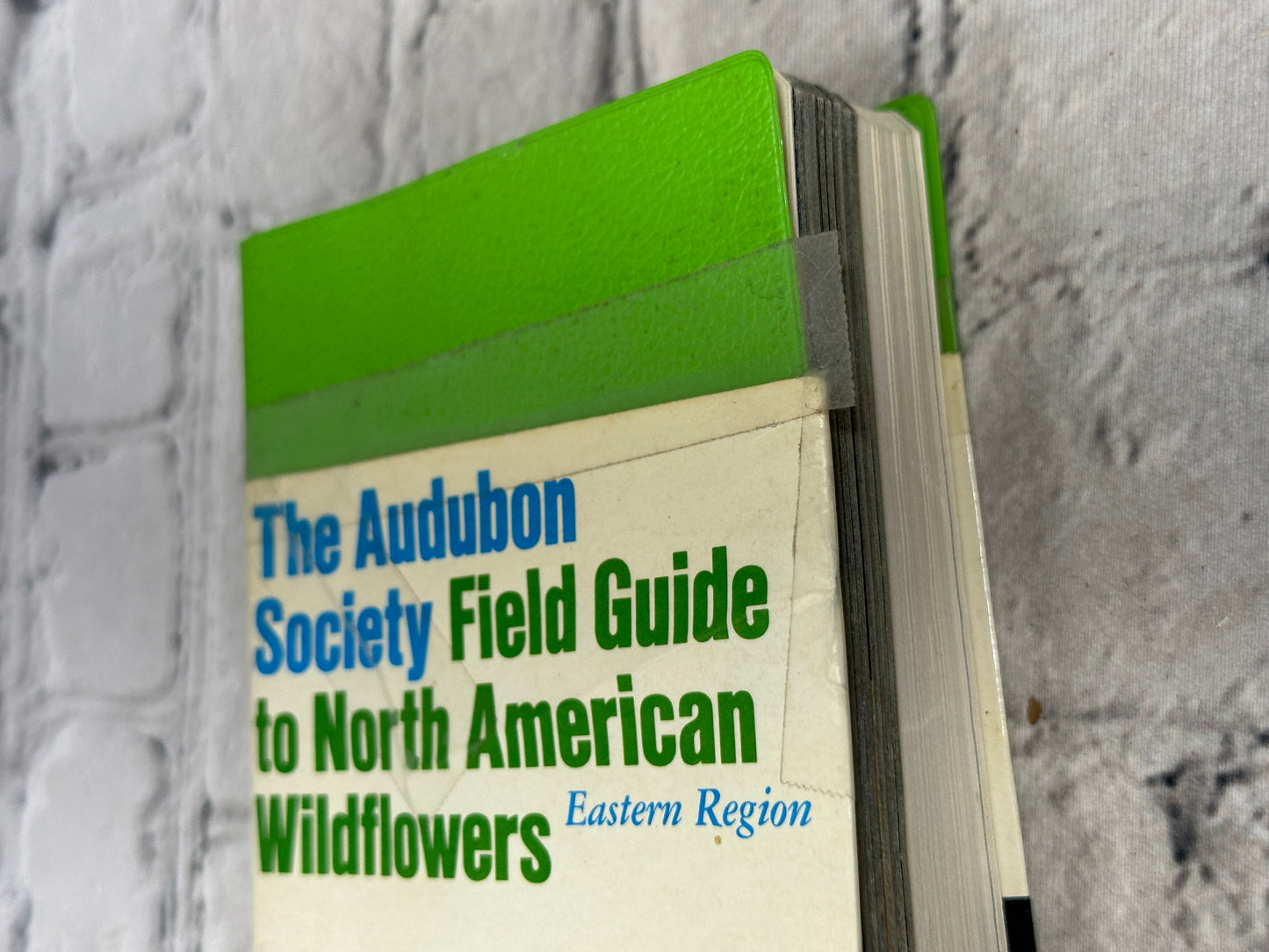 Audobon Society Field Guide to North American Wildflowers [1979]