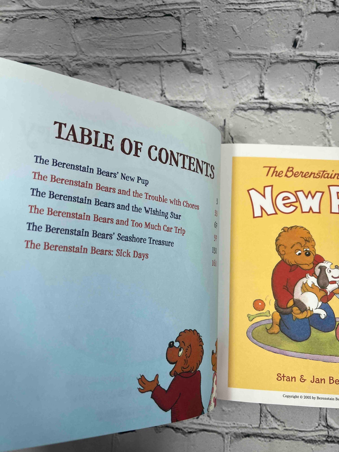 The Berenstain Bears Storybook Treasury