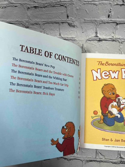 The Berenstain Bears Storybook Treasury