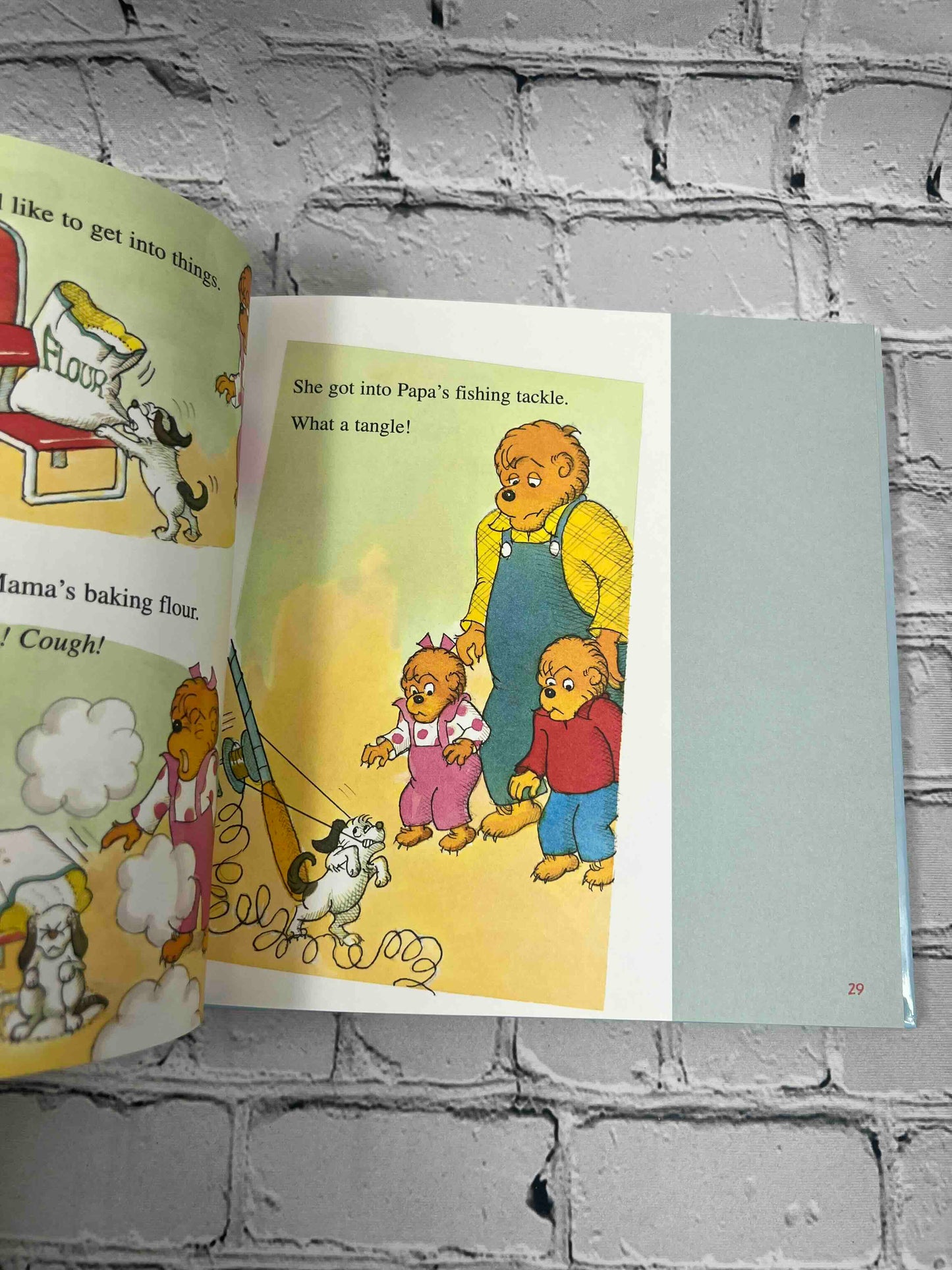 The Berenstain Bears Storybook Treasury