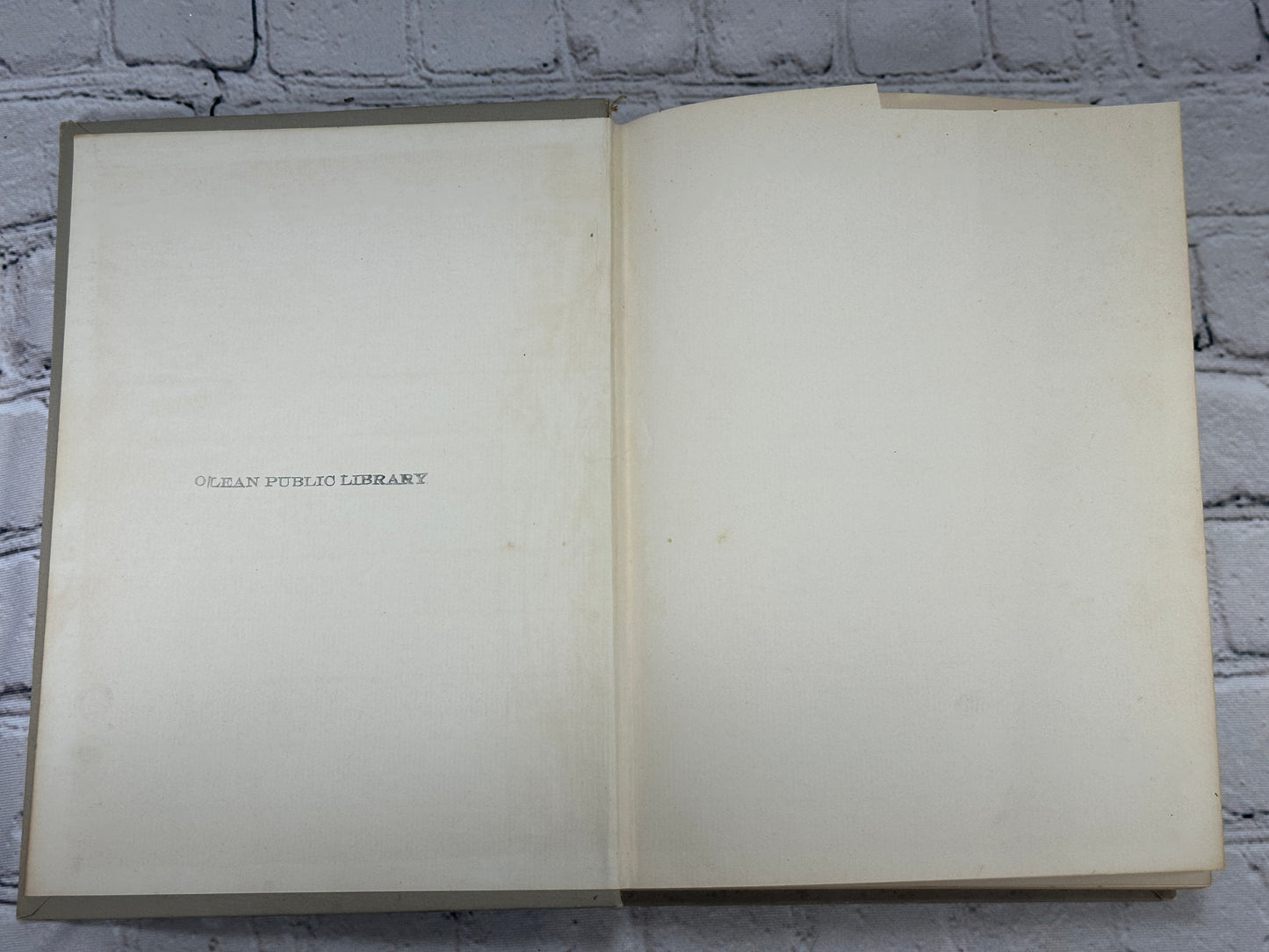 The Beautiful Life of Francis E. Willard by Anna Gordon [Memorial Edition · 1898]