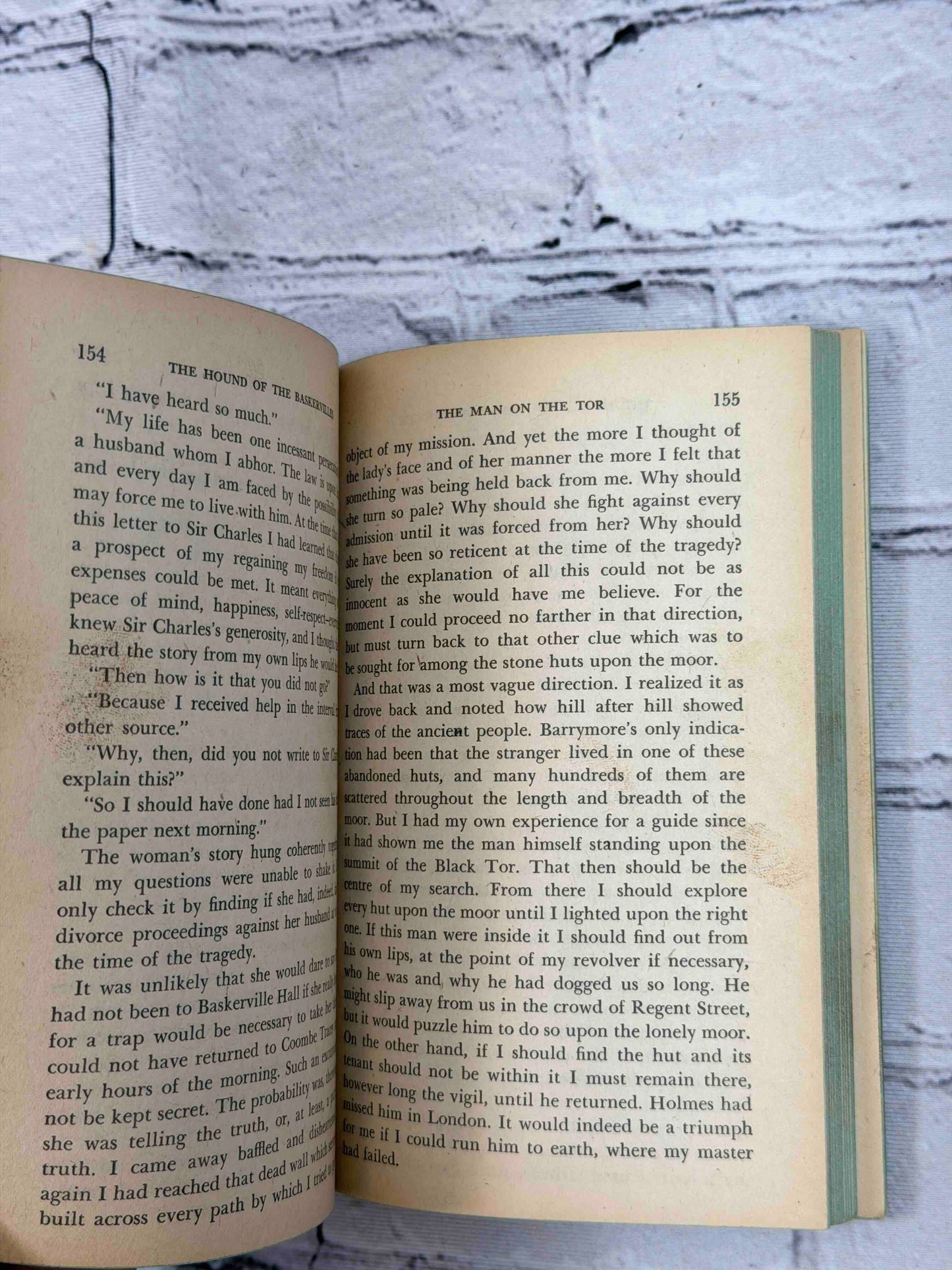 The Hound of the Baskervilles