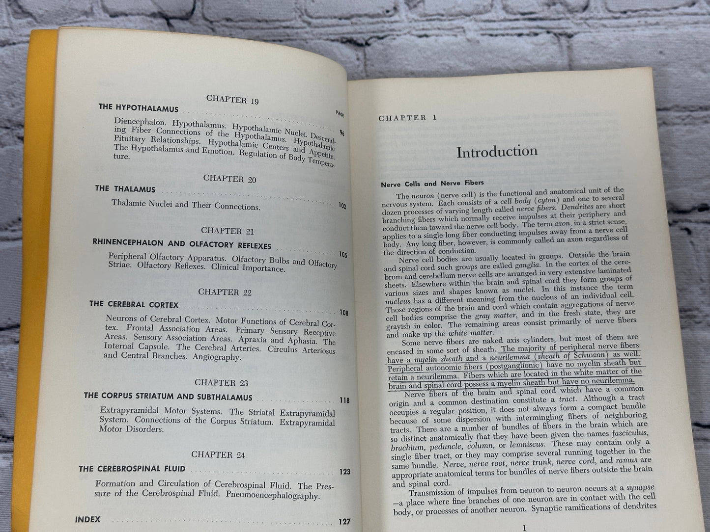 Manter's Essentials of Clinical Neuroanatomy & Neurophysiology Arthur Gatz [3rd Edition · 1967]