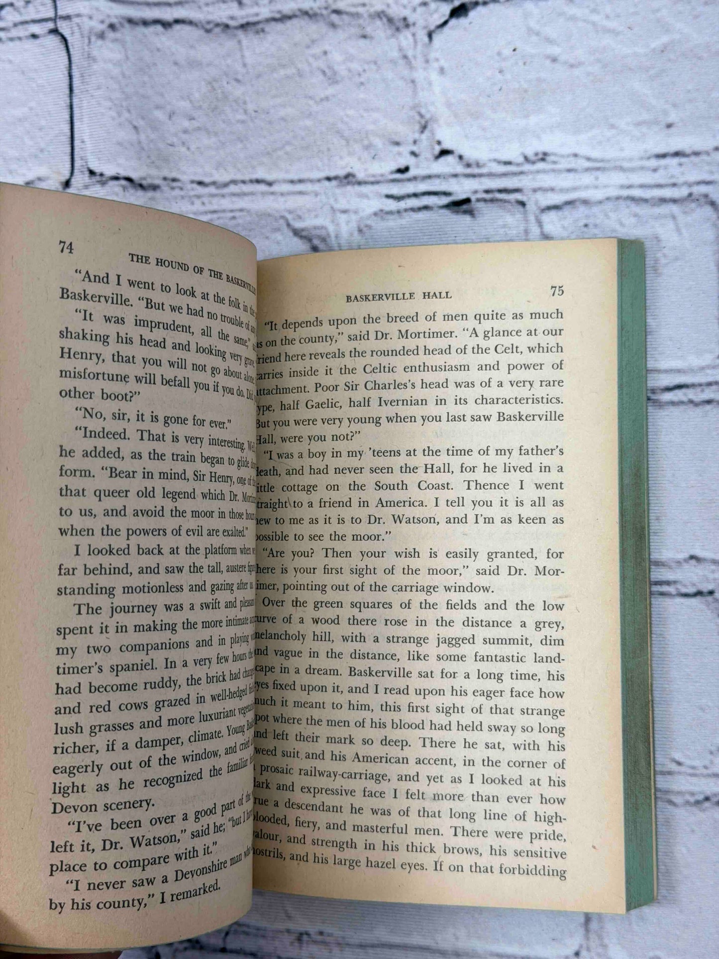 The Hound of the Baskervilles