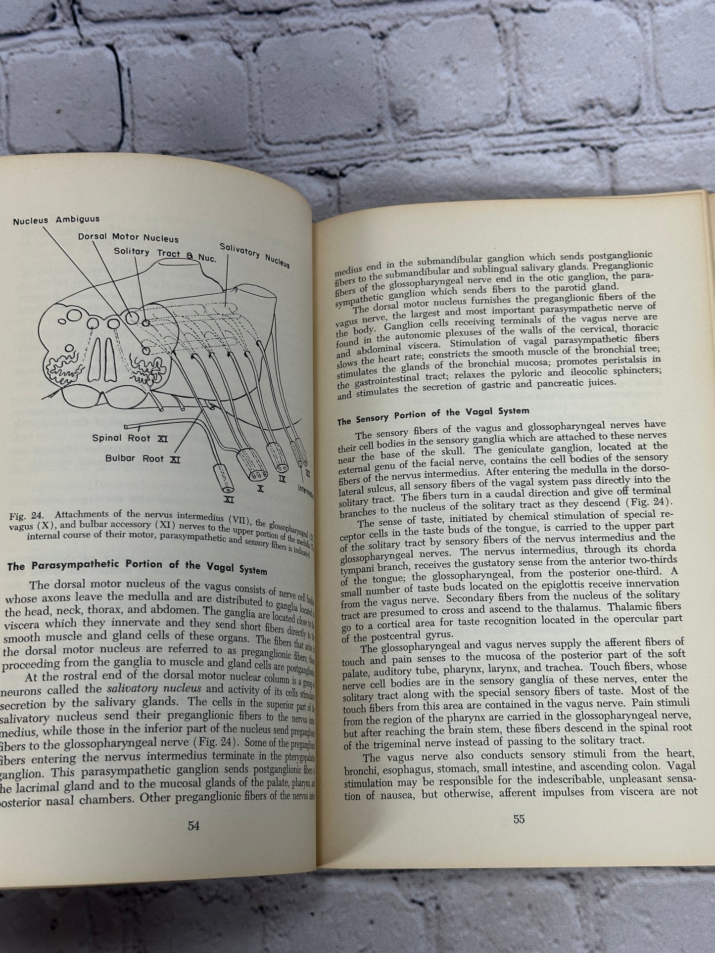 Manter's Essentials of Clinical Neuroanatomy & Neurophysiology Arthur Gatz [3rd Edition · 1967]