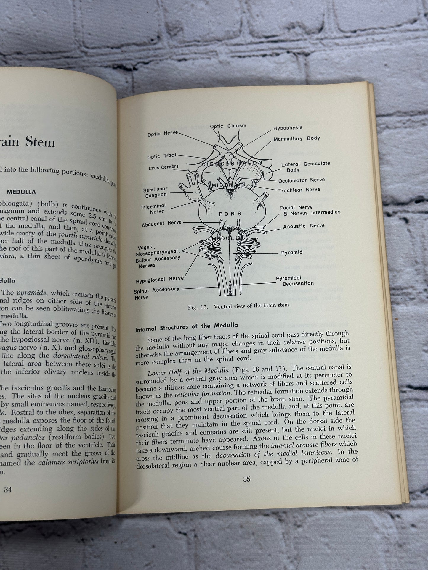 Manter's Essentials of Clinical Neuroanatomy & Neurophysiology Arthur Gatz [3rd Edition · 1967]