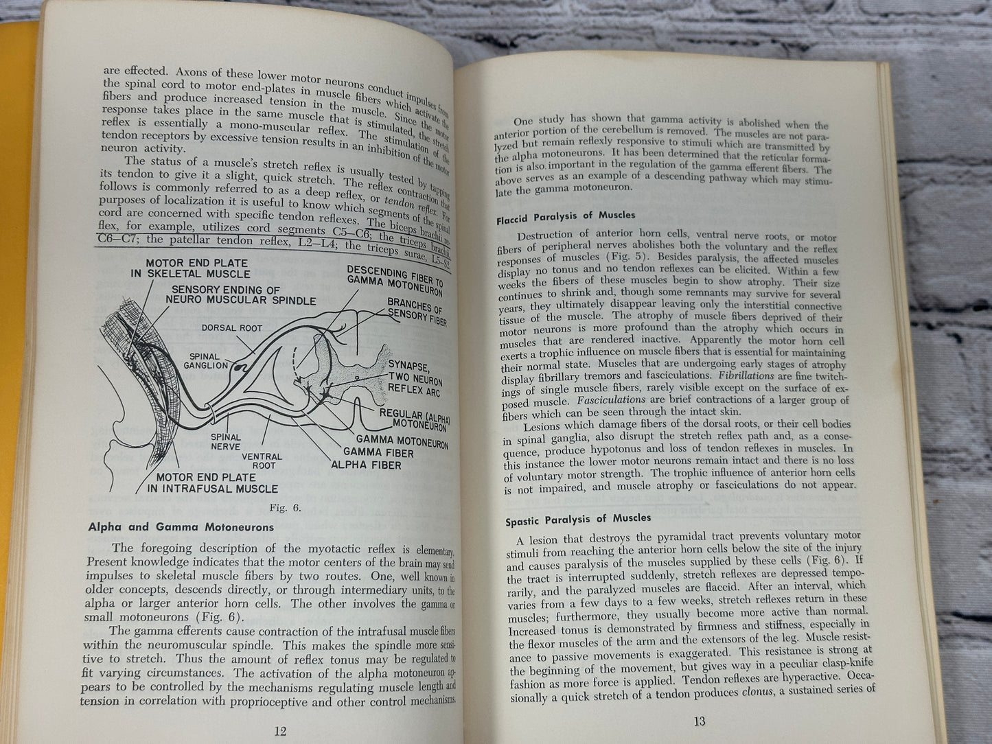 Manter's Essentials of Clinical Neuroanatomy & Neurophysiology Arthur Gatz [3rd Edition · 1967]