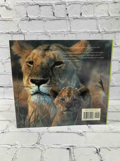 Wild Kittens