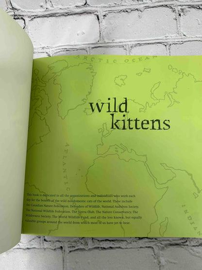 Wild Kittens