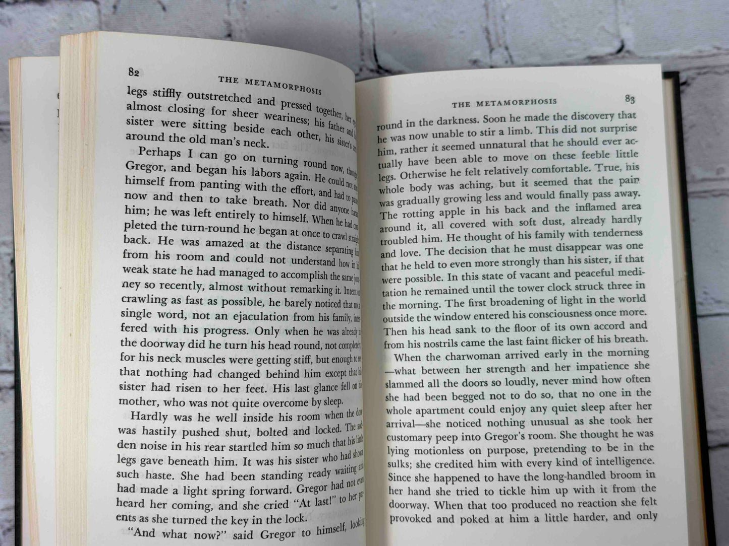 Selected Short Stories of Franz Kafka