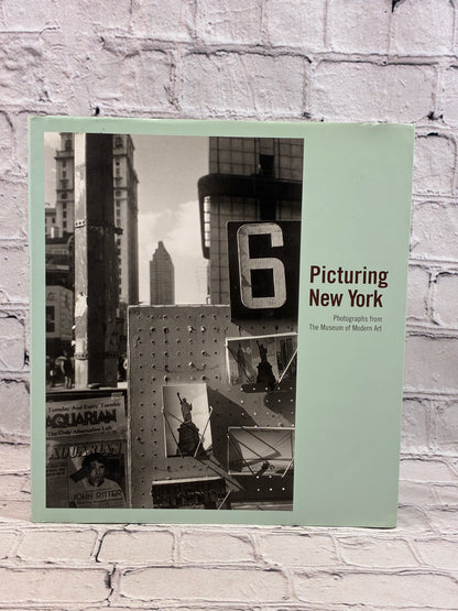 Picturing New York: Photographs from The Museum of Modern Art