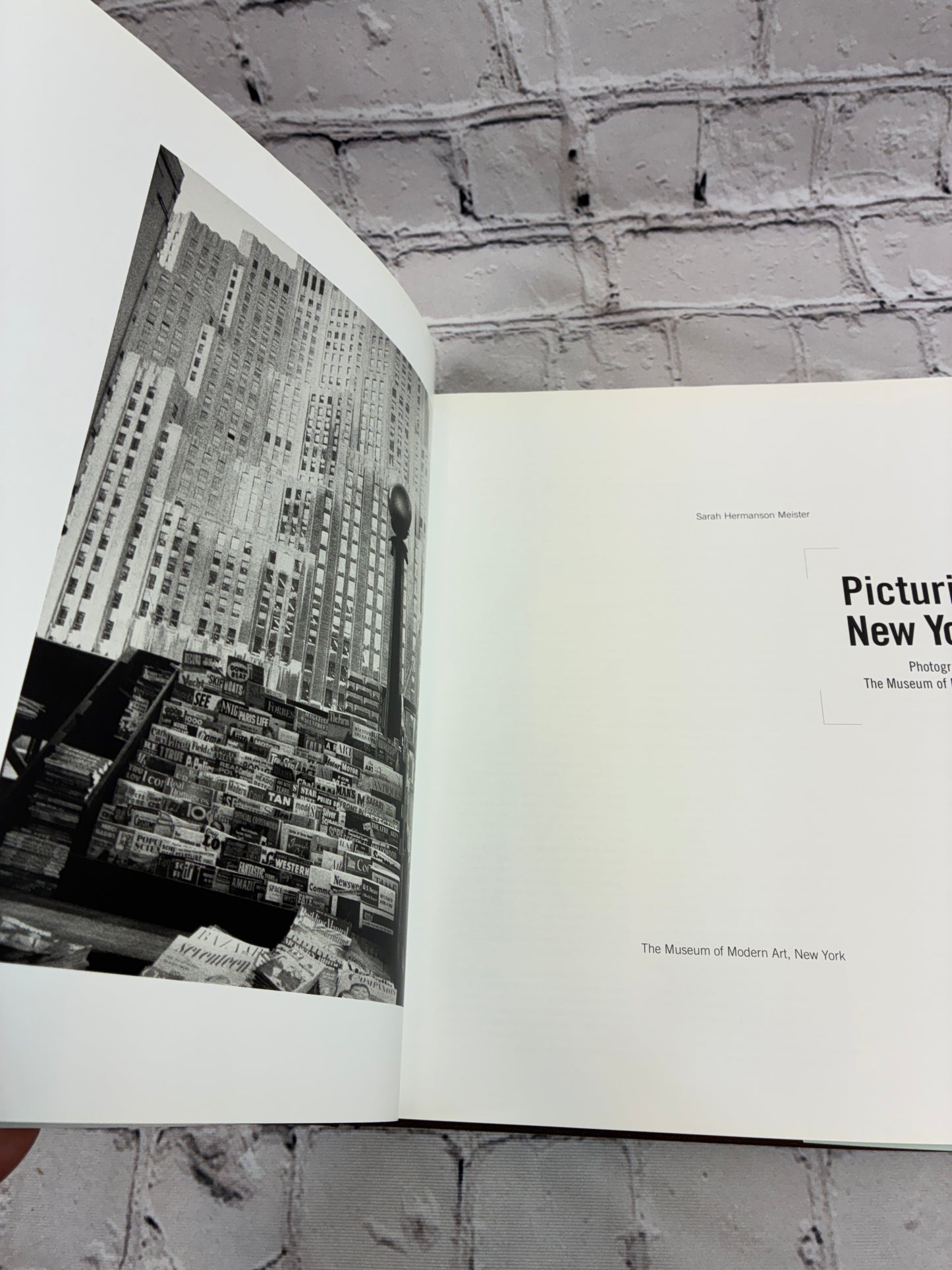 Picturing New York: Photographs from The Museum of Modern Art