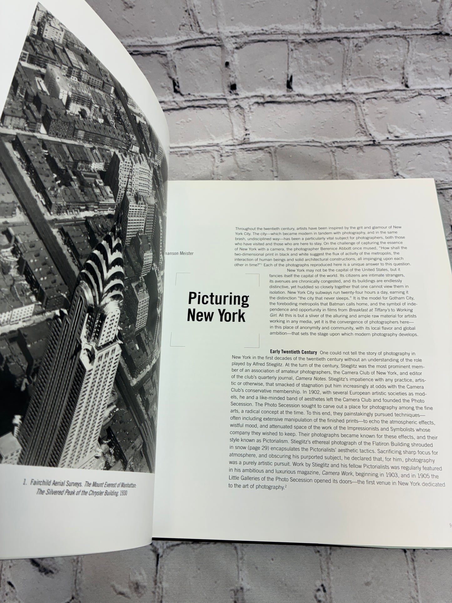Picturing New York: Photographs from The Museum of Modern Art