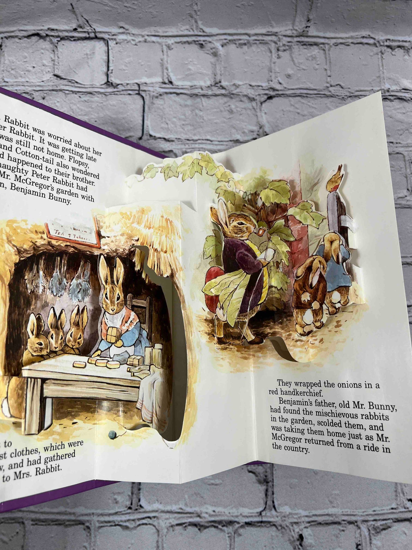 Peter Rabbit Pop-Up Books