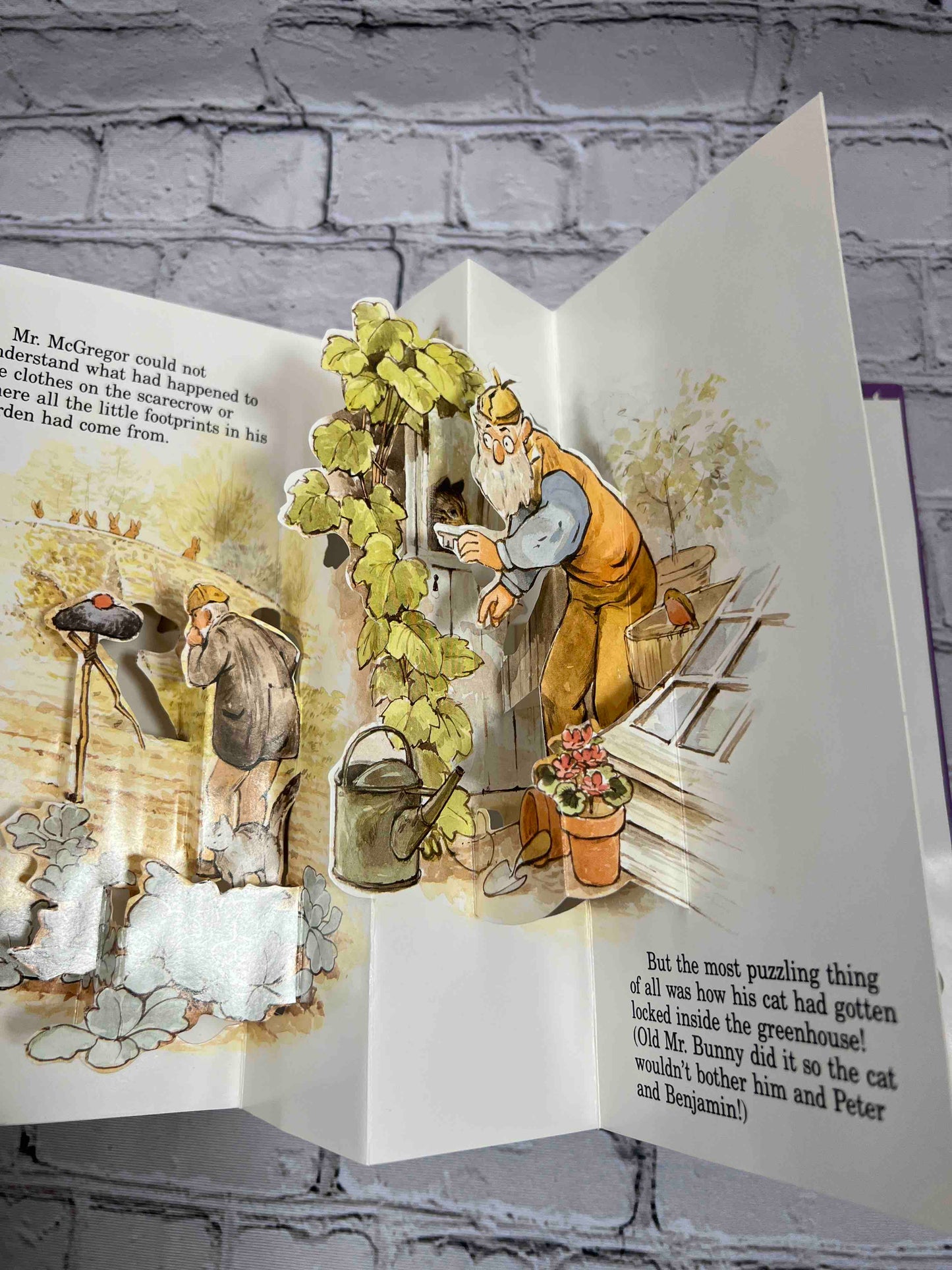 Peter Rabbit Pop-Up Books