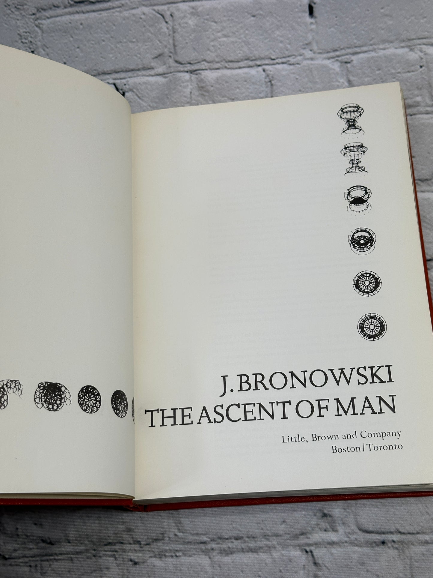 The Ascent Of Man By J. Bronowski [1973 · Book Club Edition]