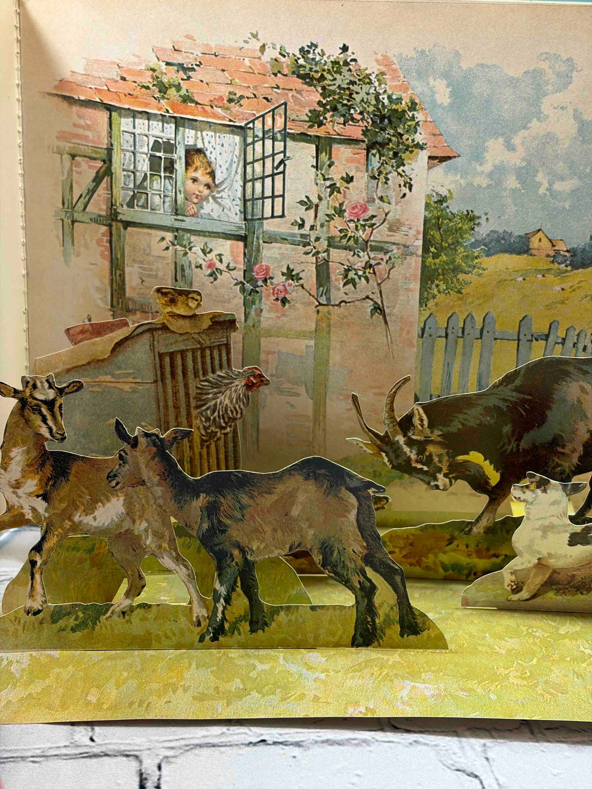 Animal Tales