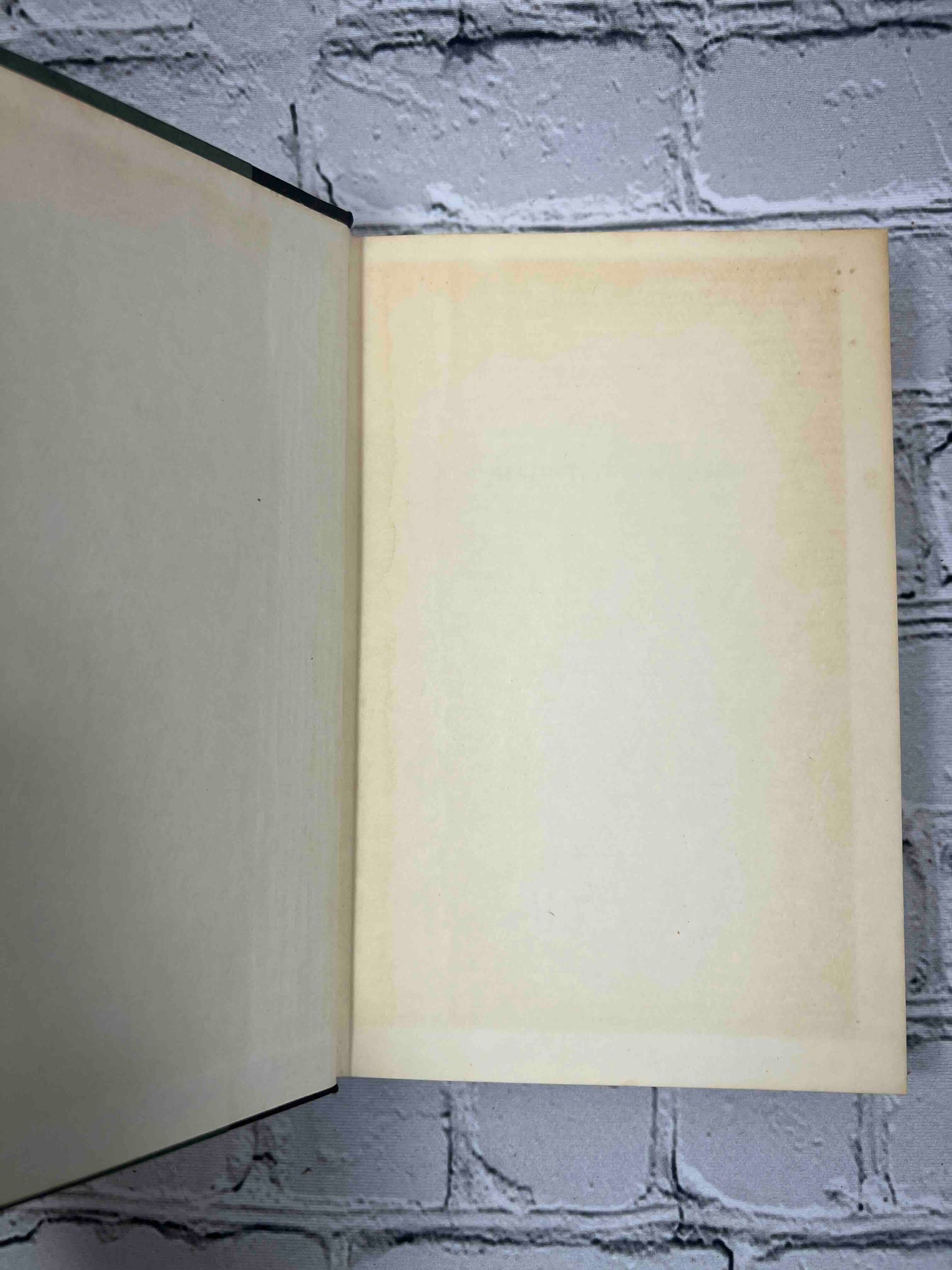 The Haunted books Shop