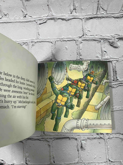 Teenage Mutant Ninja Turtles: The First Battle
