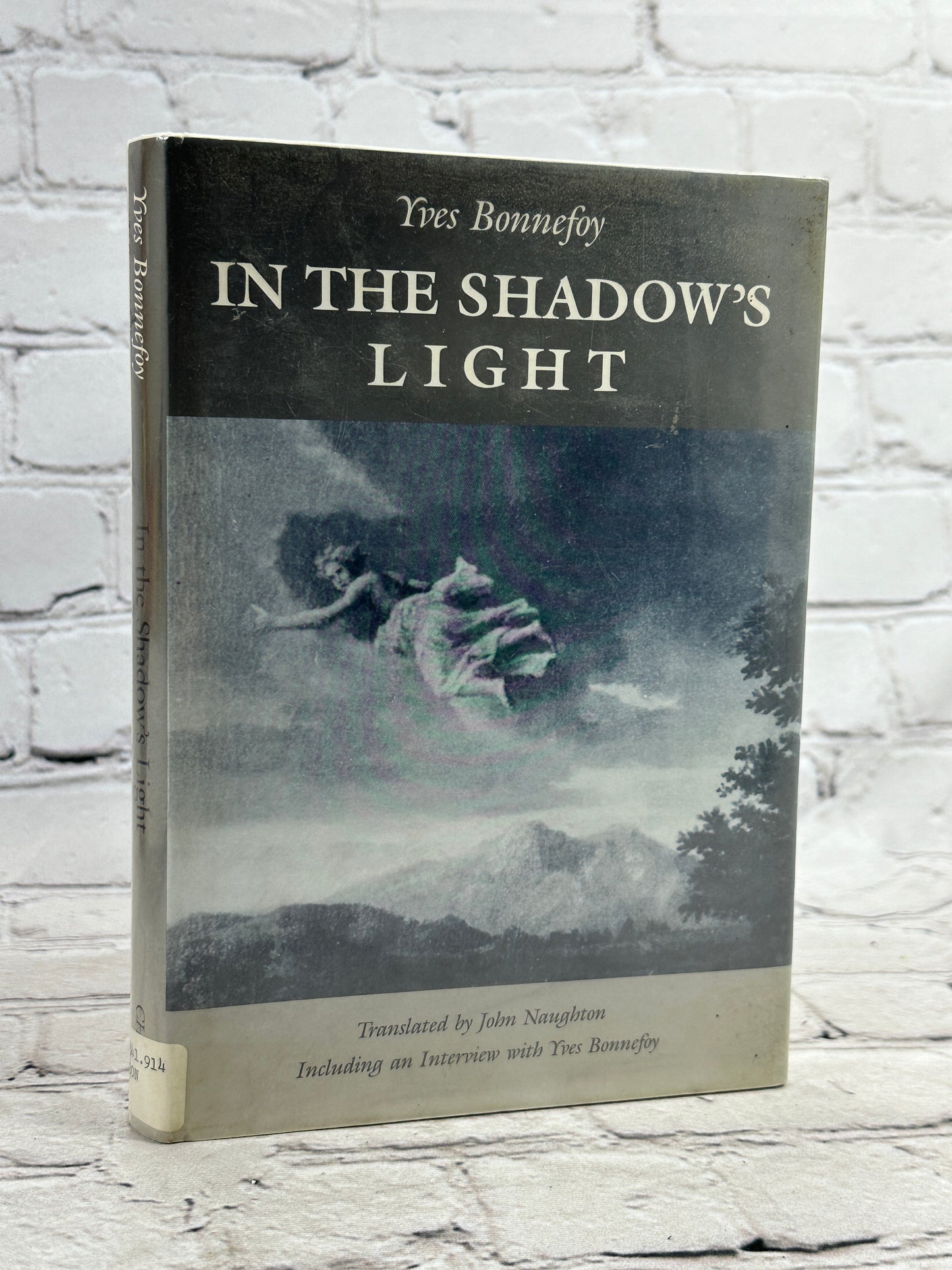 In the Shadow's Light by Bonnefoy [1991]