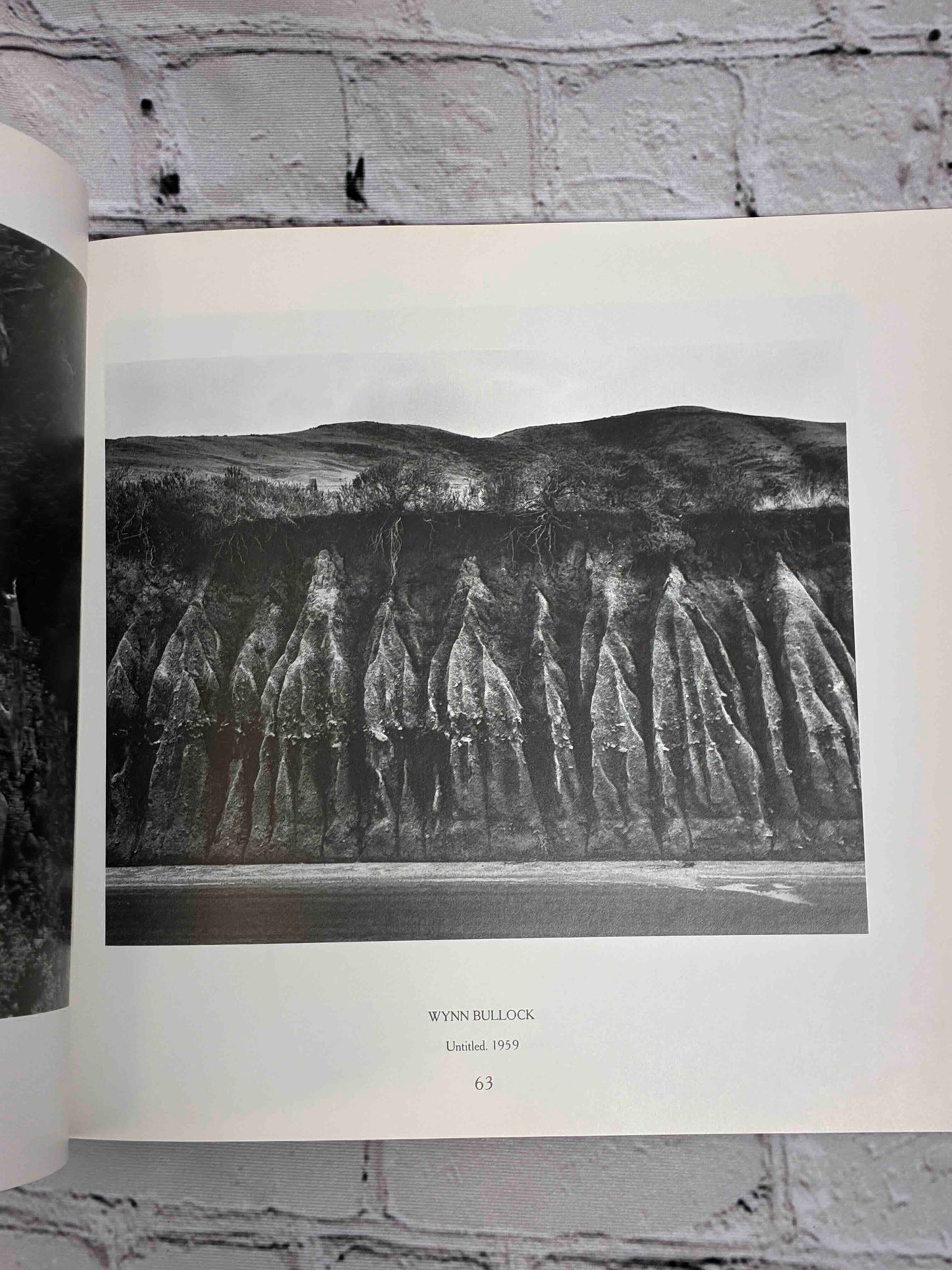 American Landscapes
