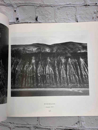 American Landscapes