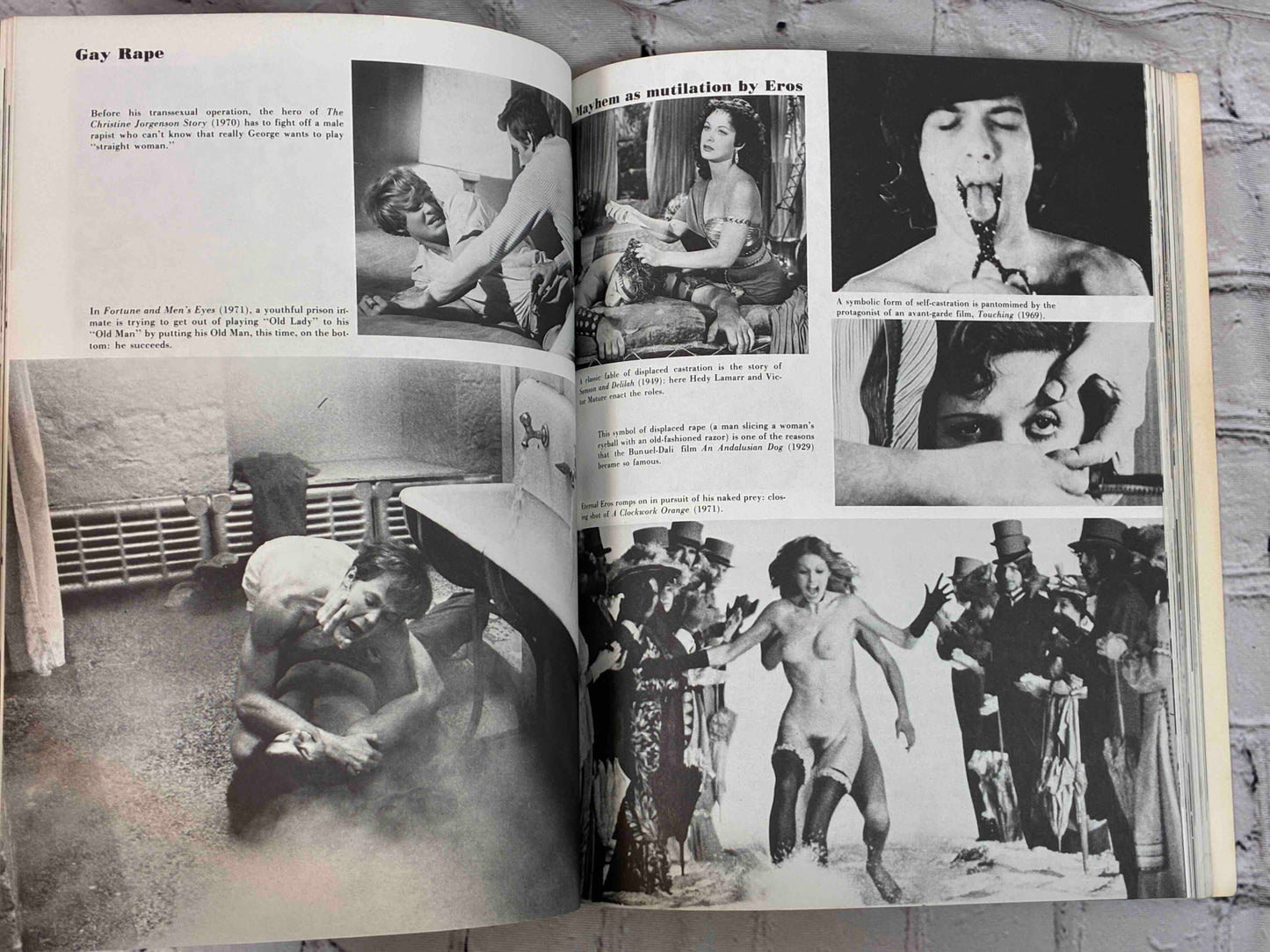 A Pictorial History of Sex in Film