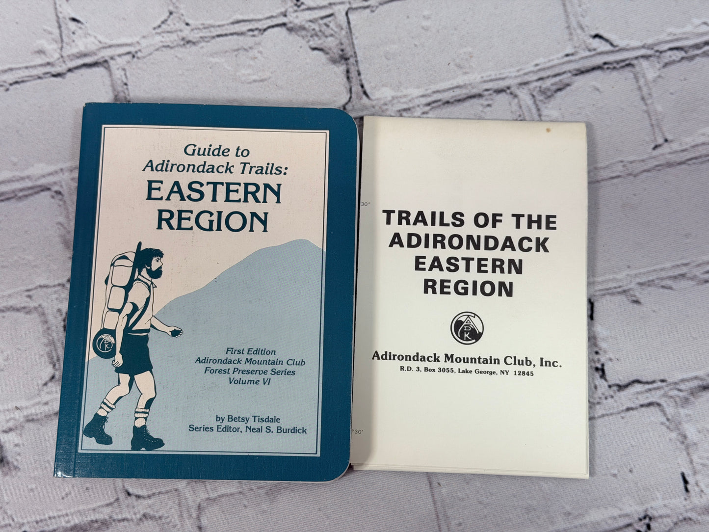 Guide to Adirondack Trails: Eastern Region (Forest Preserve Series, Vol. 6)