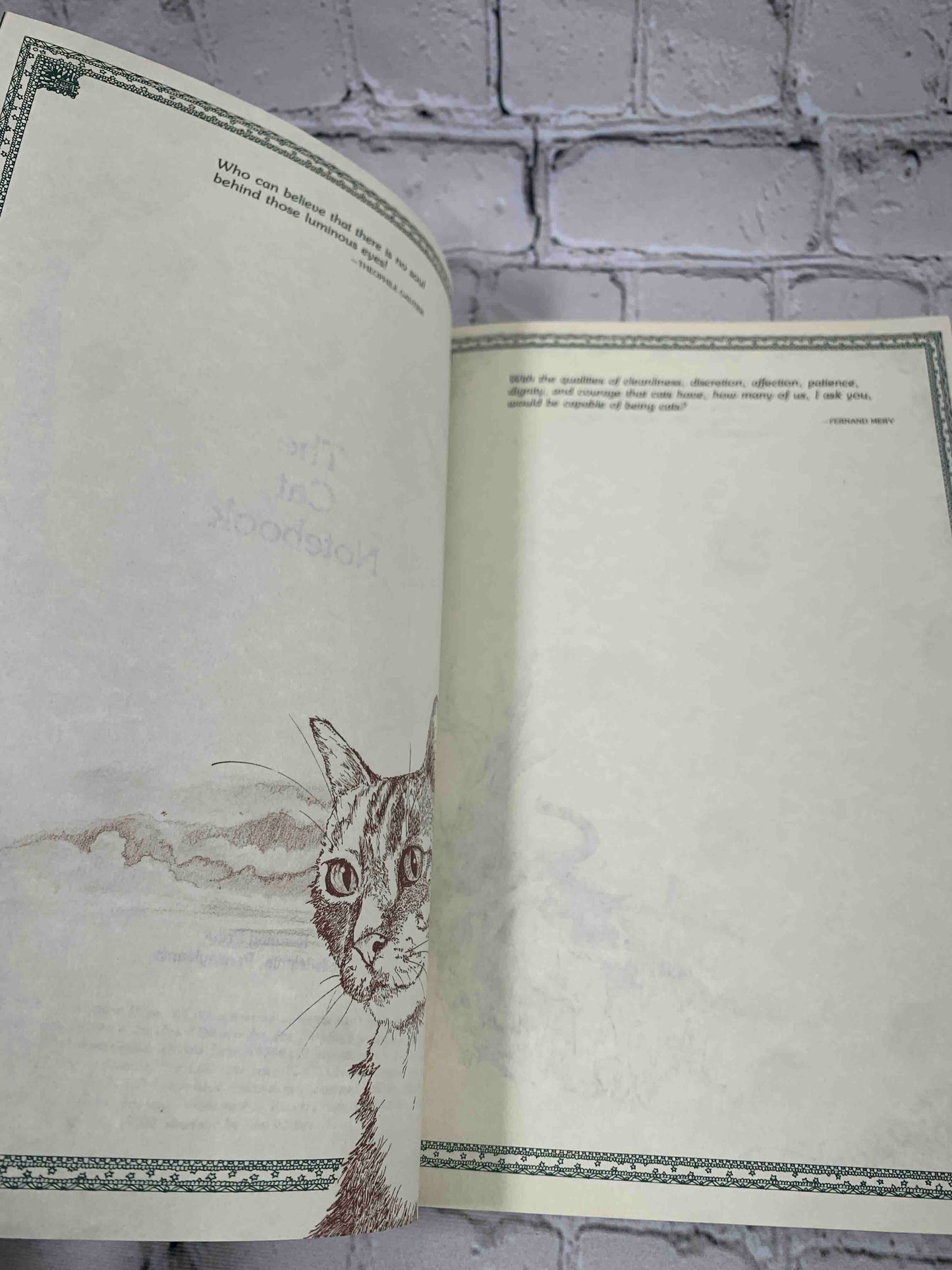 The Cat Notebook